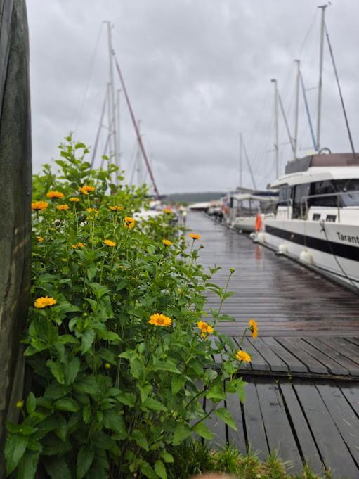 Pensjonat Rybaczowka - Noclegi, Restauracja, Port Bogaczewo  Exteriér fotografie